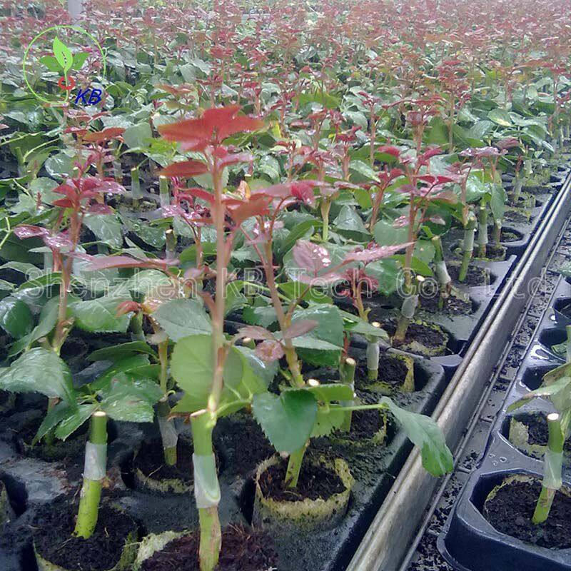 silicone tube usage01.jpg