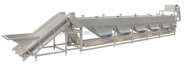 Jujube Sorting Machine Date Grading Machine