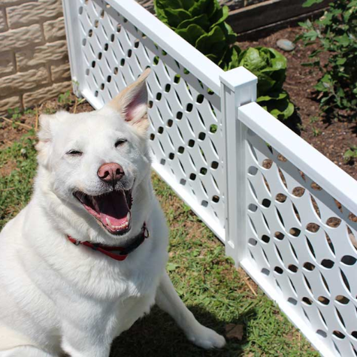 garden fence ideas to keep animals out (3)