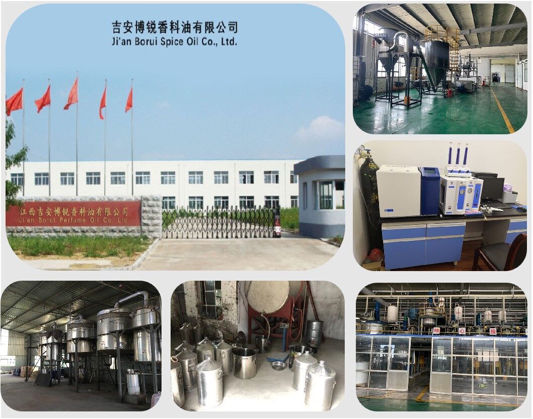 Ji'an Borui Spice Oil Co., Ltd company overview - view 1