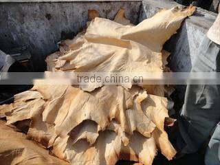 Pnr Crafts Private Limited company overview - view 1