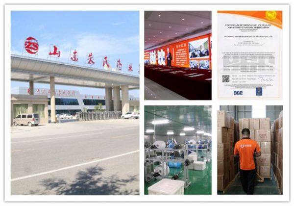 Shandong Zhushi Pharmaceutical Group Co.,Ltd company overview - view 1