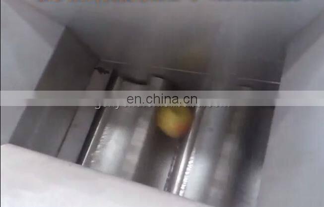 pomegranate seeds peeling machine/pomegranate processing machine