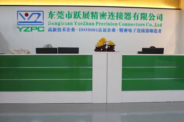 Dongguan Yuezhan Precision Connector Co.,Ltd. company overview - view 2