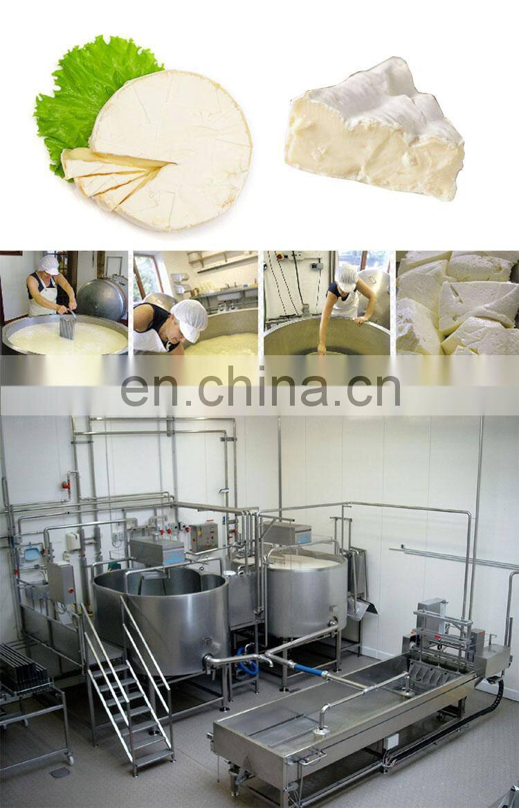 hot sale customizable cheese making vat