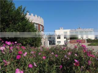 Qingdao Youqing Aquatics Co., Ltd. company overview - view 1