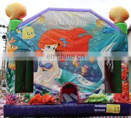 Idea Inflatable Co., Ltd. company overview - view 2