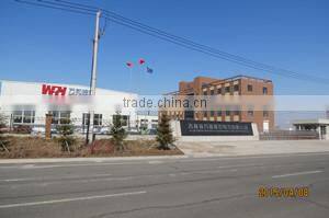 Jilin Wanhe Lighting Co., Ltd. company overview - view 1