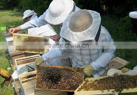 Henan Mingshengfeng Bio-Technology Co., Ltd. company overview - view 2