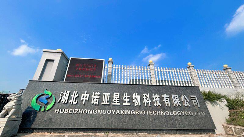 Hubei Zhongnuoyaxing Biotechnology Co., Ltd. company overview - view 1
