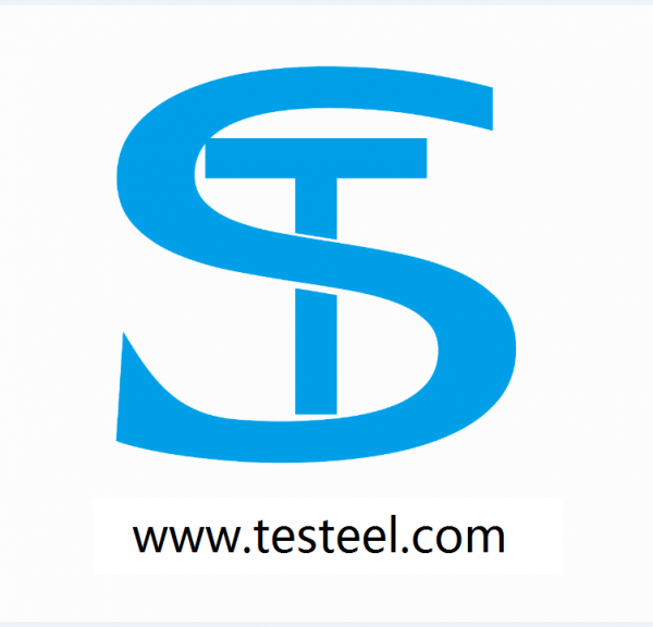 Shanghai Testeel Industry Co Ltd company overview - view 1