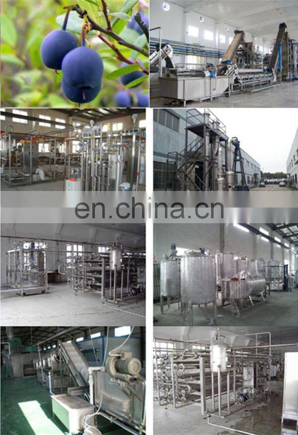 Fruit Jam Production Line From China