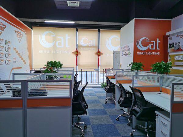 Jiangmen City Pengjiang District Qihui Lighting Electrical Appliances Co., Ltd company overview - view 3