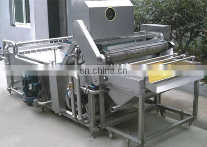 Fruit washing machine/strawberry cleaning /blueberry cleaning machine