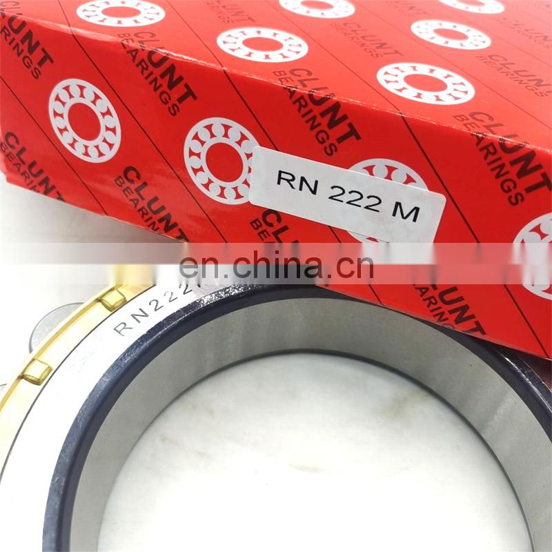 China Bearing Factory RN219M bearing High quality Cylindrical roller bearing RN219M suitable for automotive agriculture RN219M