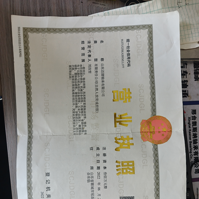 Shandong Maijie Bearing Co., Ltd. company overview - view 1