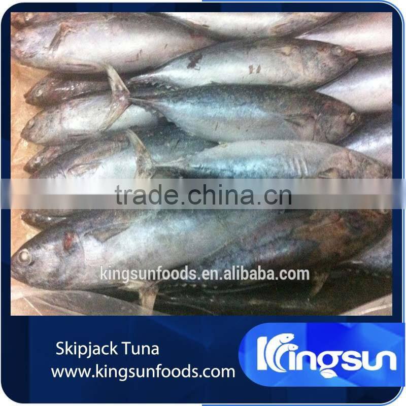 Whole Tuna Prices China Trade,Buy China Direct From Whole Tuna Prices  Factories at Alibaba.com