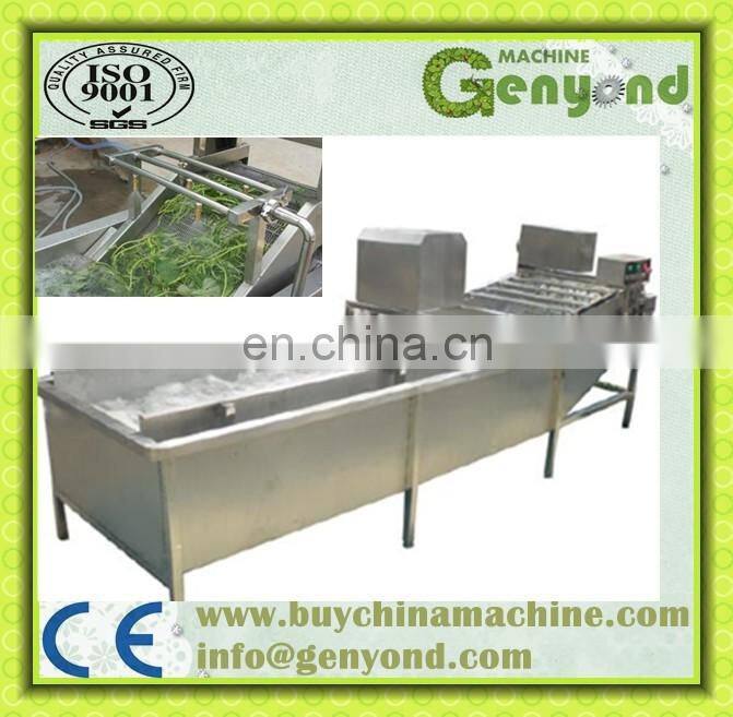 Commercial Vegetable Washer/Air Bubble Vegetable Washing Machine