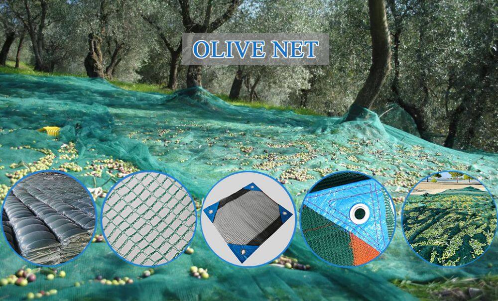 OLIVE NET collection.jpg