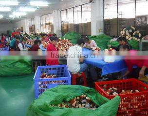 Dongguan Beibei Toys Industry Co., Ltd. company overview - view 3