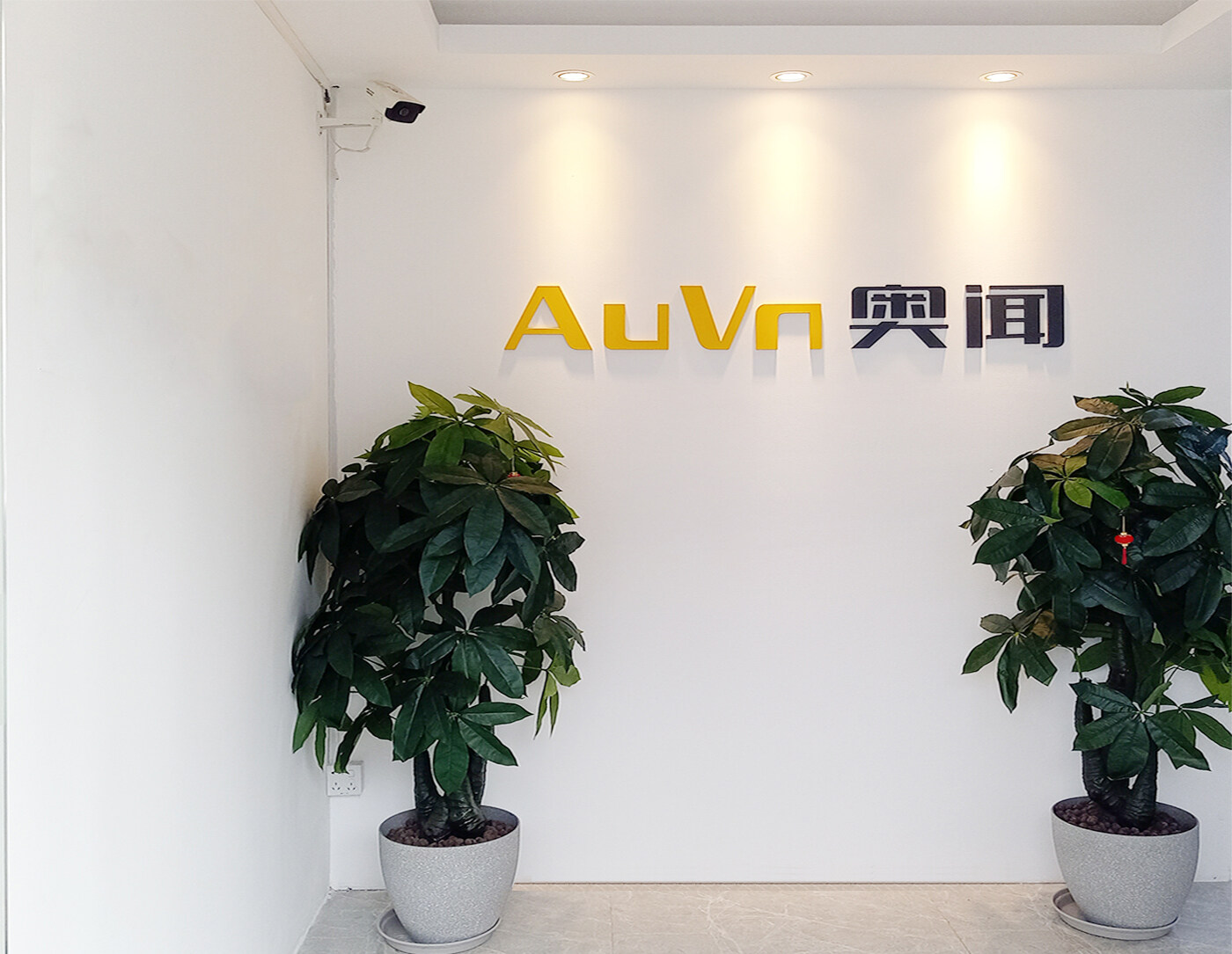 Shenzhen AuVn Technology Co., Ltd company overview - view 1