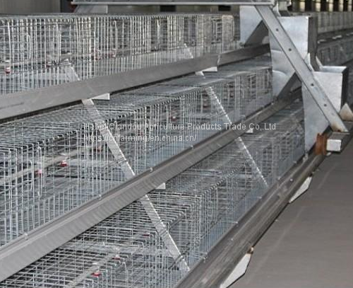 微信图片_20180103110602