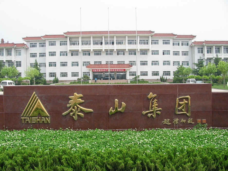 Taishan Group Co., Ltd. company overview - view 1