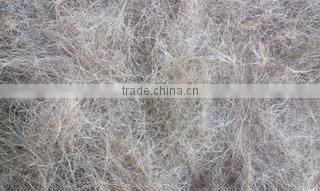 Gafoor Trading Company company overview - view 1