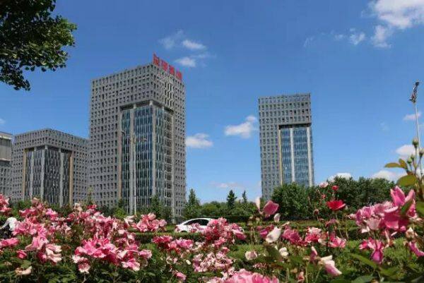Shandong Guangmao Enterprises Co.,Ltd. company overview - view 2