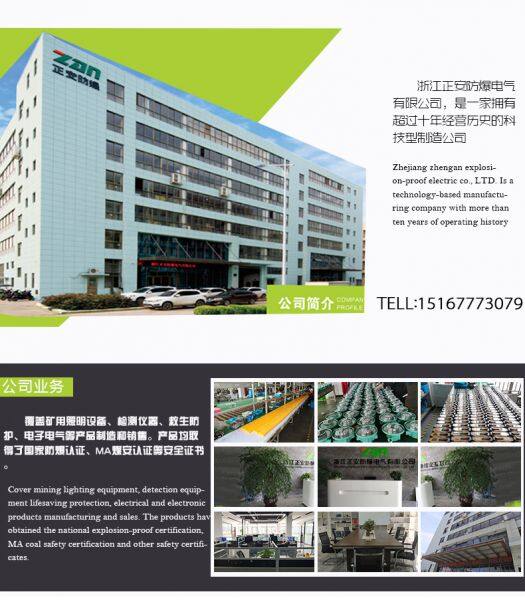 Zhejiang Zhengan Explosion Proof Electric Co., Ltd company overview - view 1