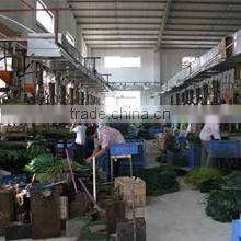 Shanghai Yum Arts & Crafts Co., Ltd. company overview - view 2