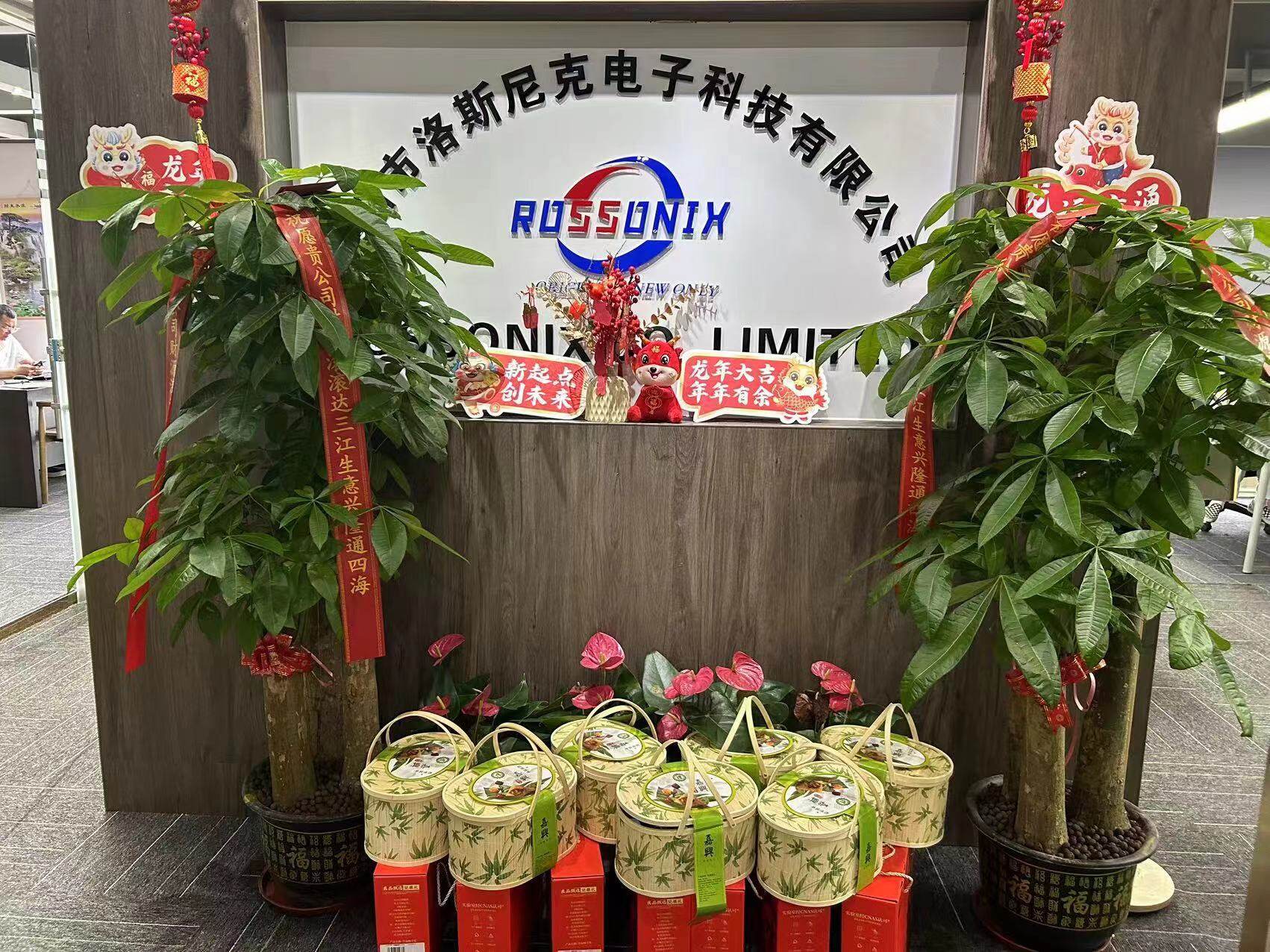 Rossonix Co.,limited company overview - view 1