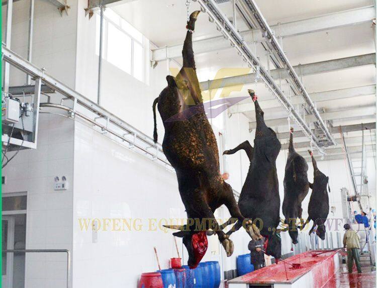 slaughter line 6.jpg