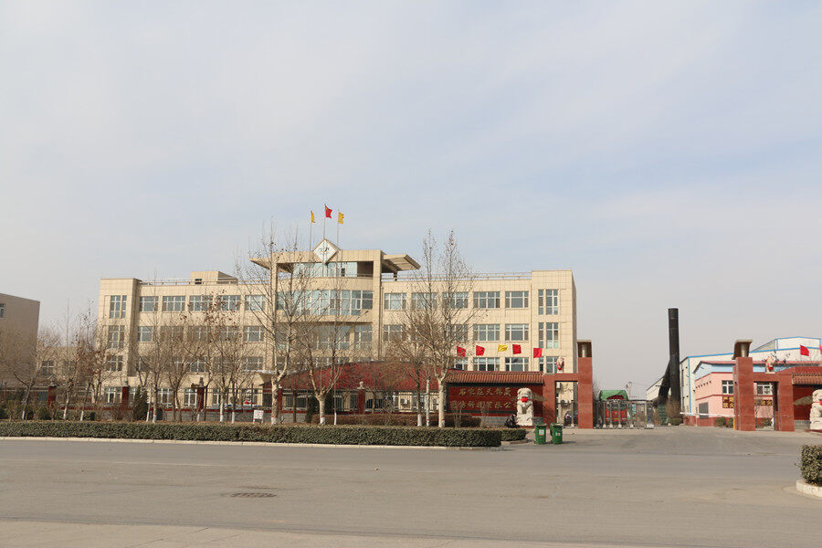 Tianjinsheng Non-woven Technology Co., Ltd. company overview - view 1