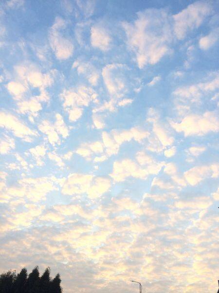 Guangdong Itea.co.,Ltd. company overview - view 1