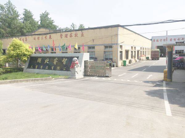 Hubei Ruizhi Children Appliances Co.,ltd company overview - view 1