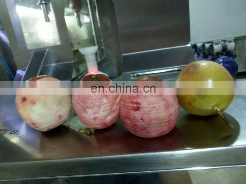 Brazil passion fruit peeling machine
