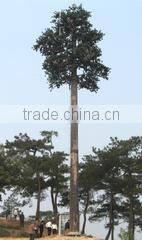 Zhejiang Hongshun Industry Co., Ltd. company overview - view 3