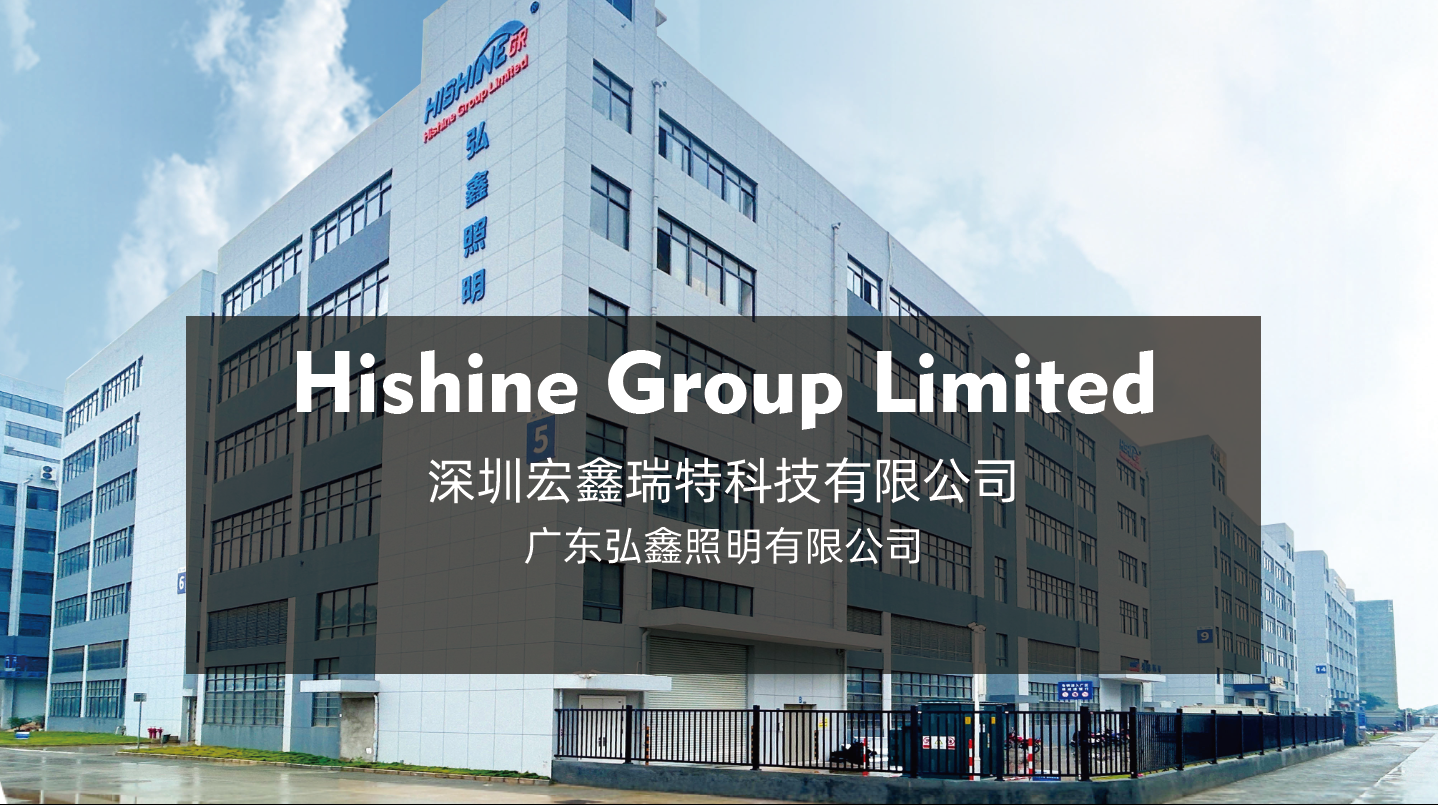 Shenzhen Hishine Group Limited company overview - view 1