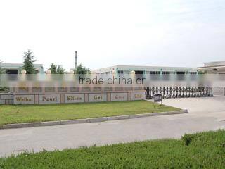 Weihai Pearl Silica Gel Co., Ltd. company overview - view 2