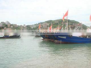 Ningbo Blue Whale Import & Export Co., Ltd. company overview - view 1