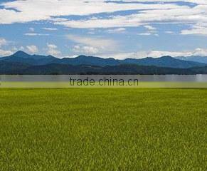 Horikei Trading Company company overview - view 1