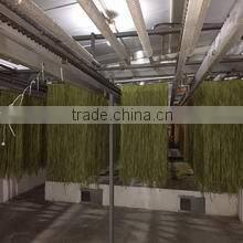 Tianjin Qianna Agricultural Products Ind. & Trading Co., Ltd. company overview - view 3