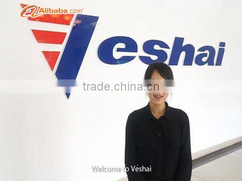 Zhaoqing Veshai Handling Equipment Co., Ltd. company overview - view 1
