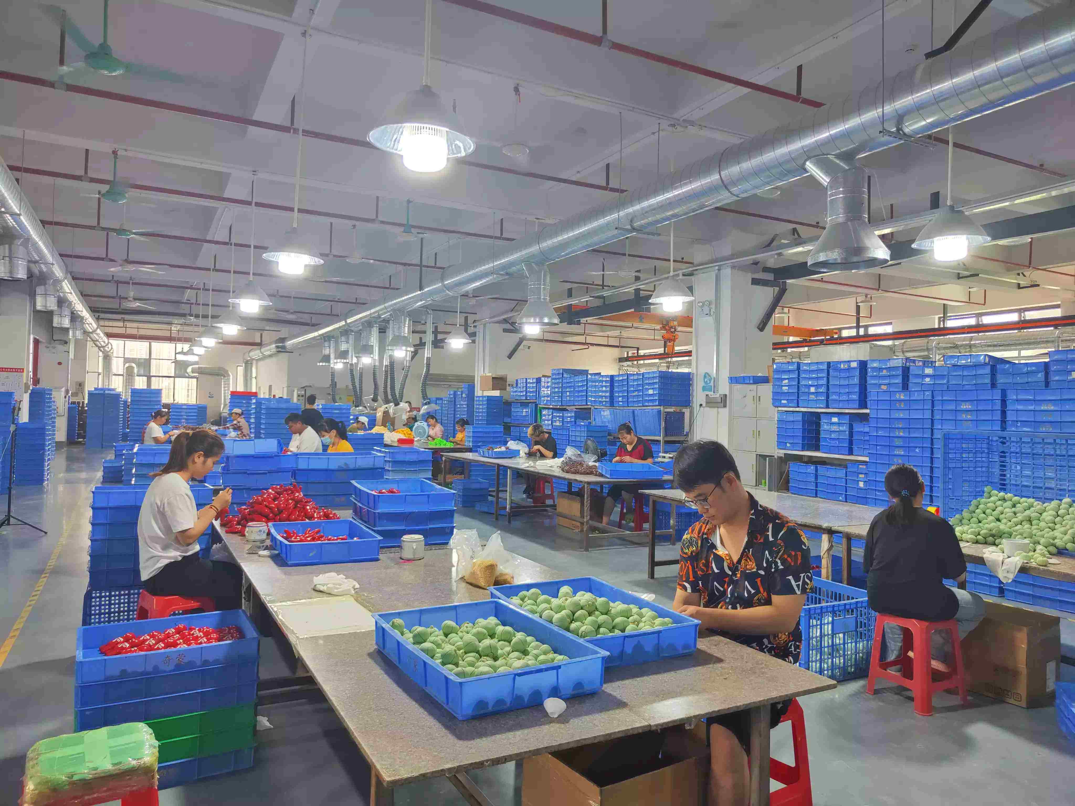 Qimeng Toy Factory company overview - view 2