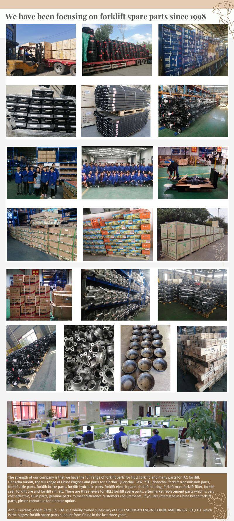 Anhui-Leading-Forklift-Parts-Co-Ltd-.jpg