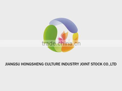 Jiangsu Hongsheng Culture Industry Co., Ltd. company overview - view 1