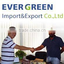 Foshan Evergreen Import & Export Co., Ltd. company overview - view 1