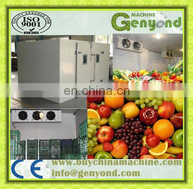 Apple/banana/orange/lemon Cold Storage,Cold Storage Room for sale