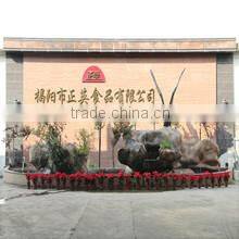 Jieyang Zhengying Foods Co., Ltd. company overview - view 2